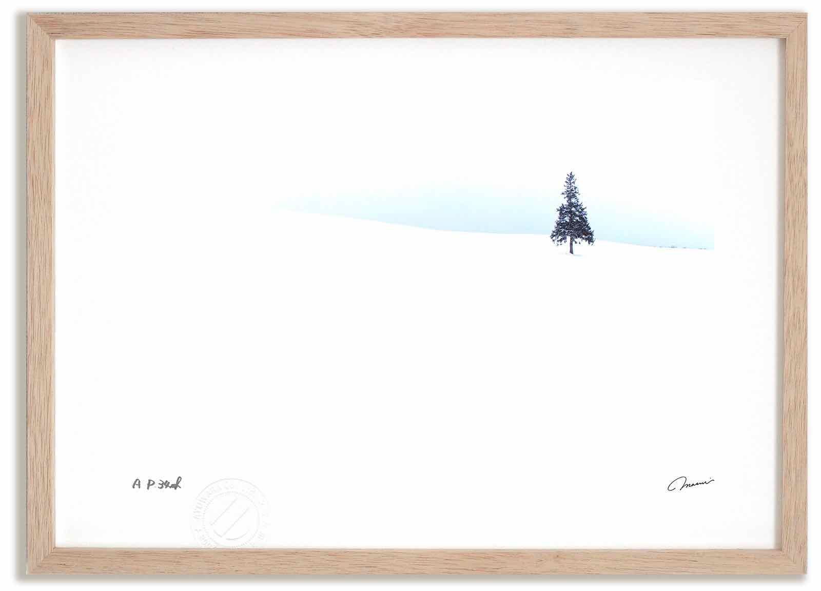 アートフォト 絵画 クリスマスツリーの木2 高橋真澄/インテリア 額入り 額装込 風景画 油絵 ポスター アート アートパネル リビング 玄関 プレゼント モダン アートフレーム 飾る Mサイズ お