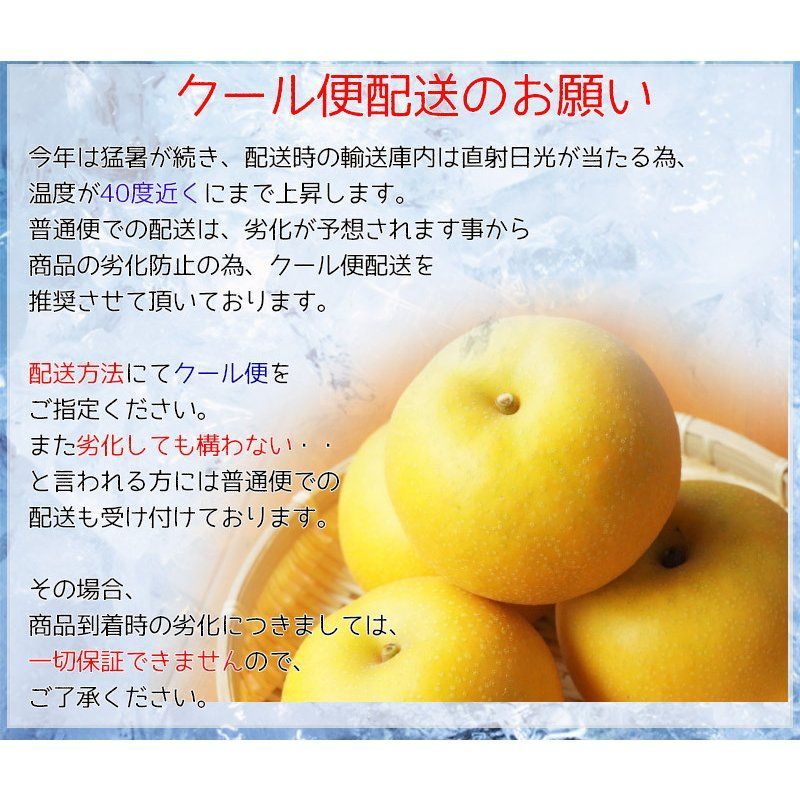 約10Kg 鳥取ブランド