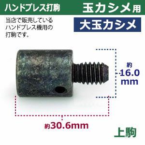 1セット入