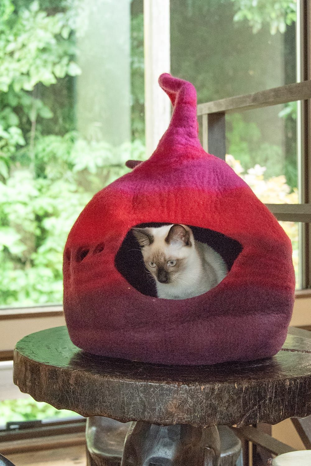 猫ハウス