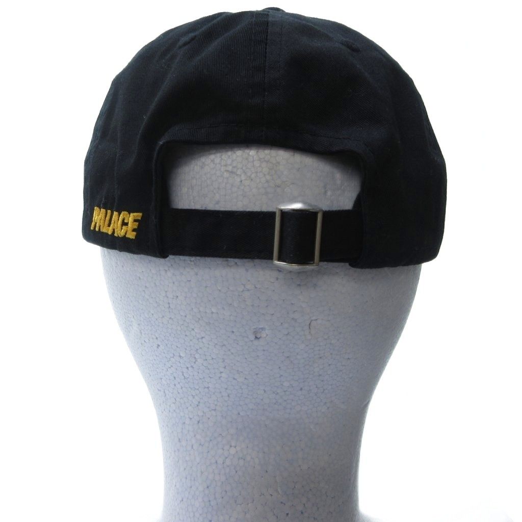 skateboards バードワードキャップ