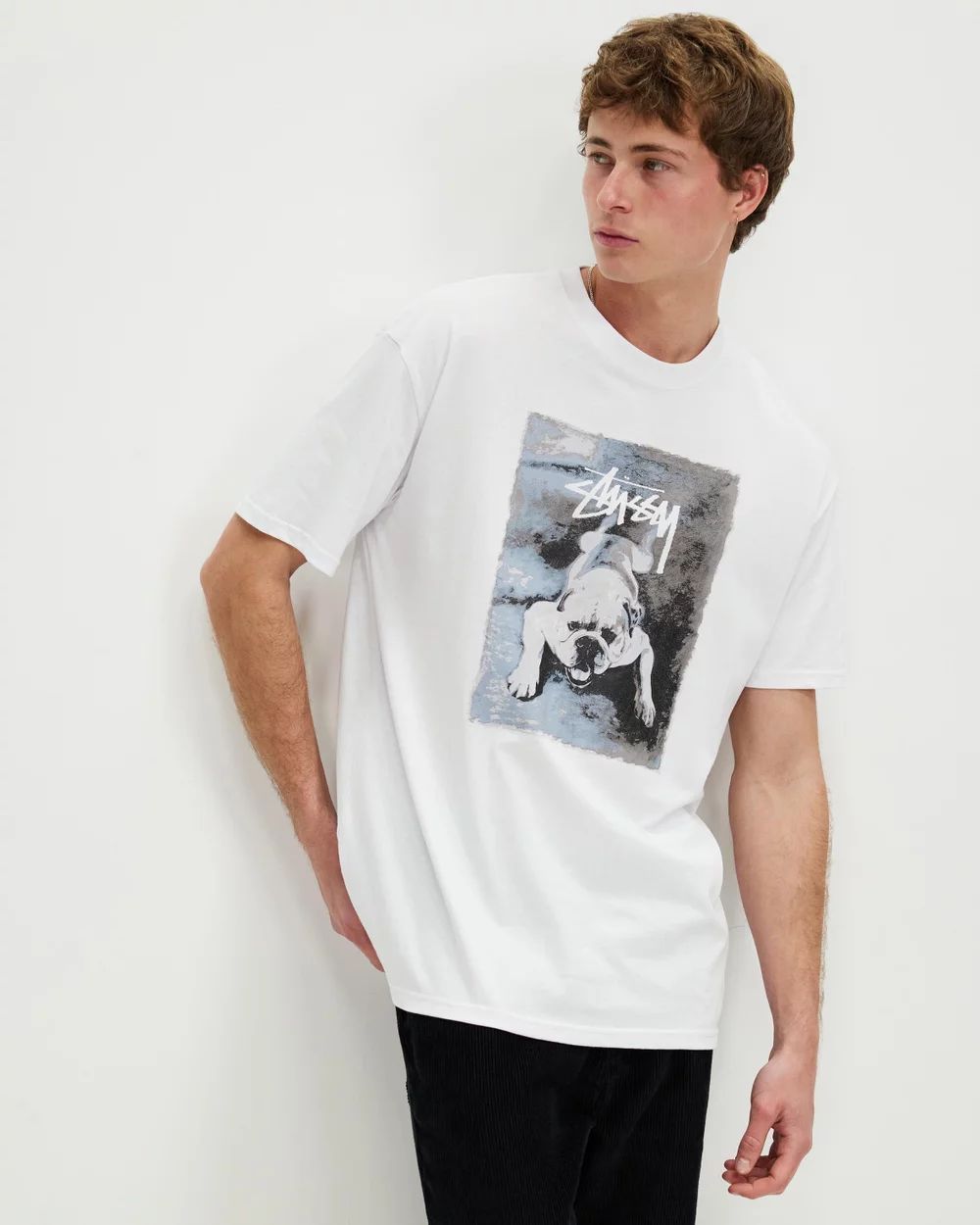 Stussy Tシャツ ステューシー ロゴ 半袖 BULLDOG T-SHIRT WHITE STUSSY Bulldog T-Shirt Tシャツ ステューシー - メルカリ