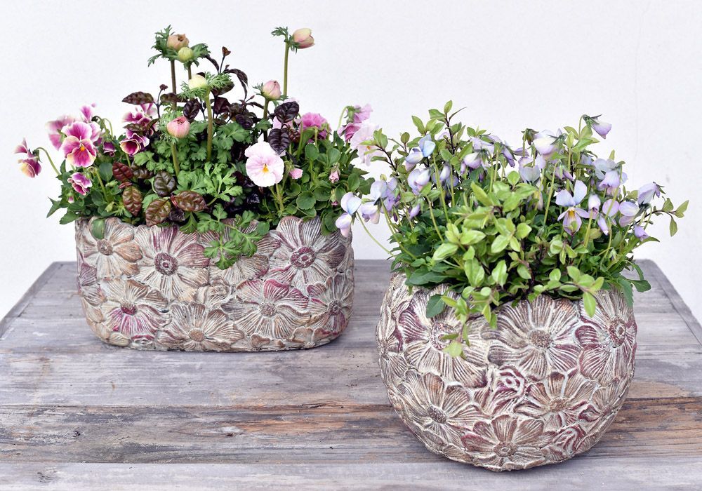 ガーデニング フラワーポット シャビー 器 ガーデニング フラワー