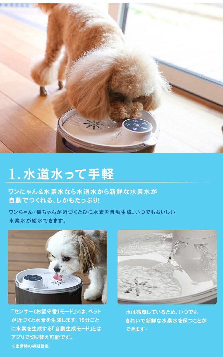 ワンにゃん＆水素水［新品・未使用品］19,800円 ワンにゃん＆水素水［新品・未使用品］