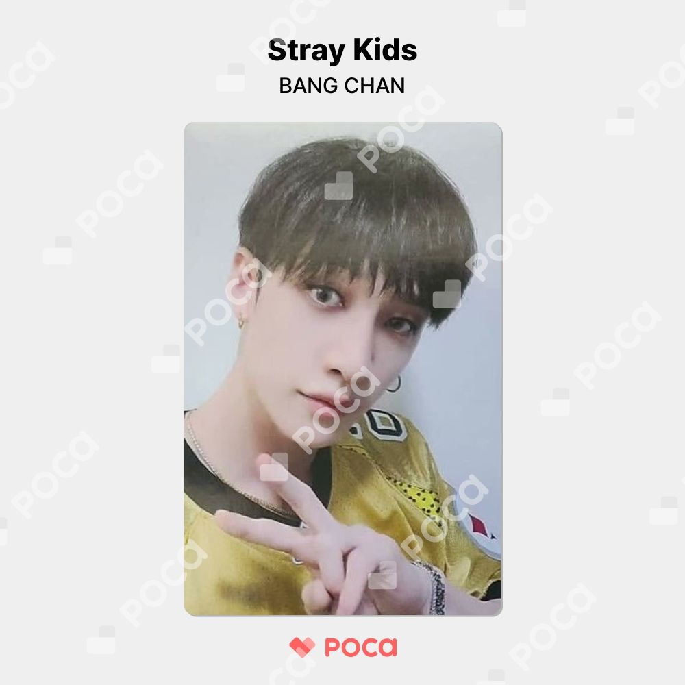 straykids バンチャン unveil トレカ straykids バンチャン スキズ トレカ Stray Kids 2nd World Tour