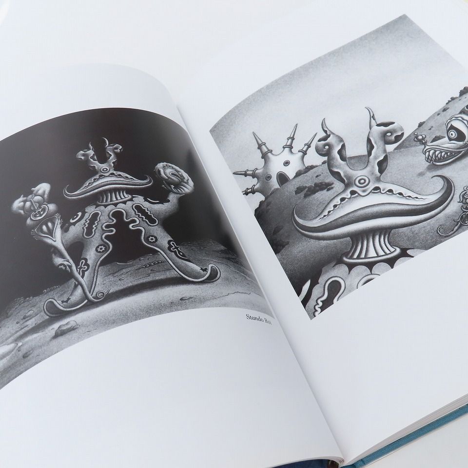 ジム ウードリング 画集 Jim Woodring SEEING THINGS 845007 - メルカリ