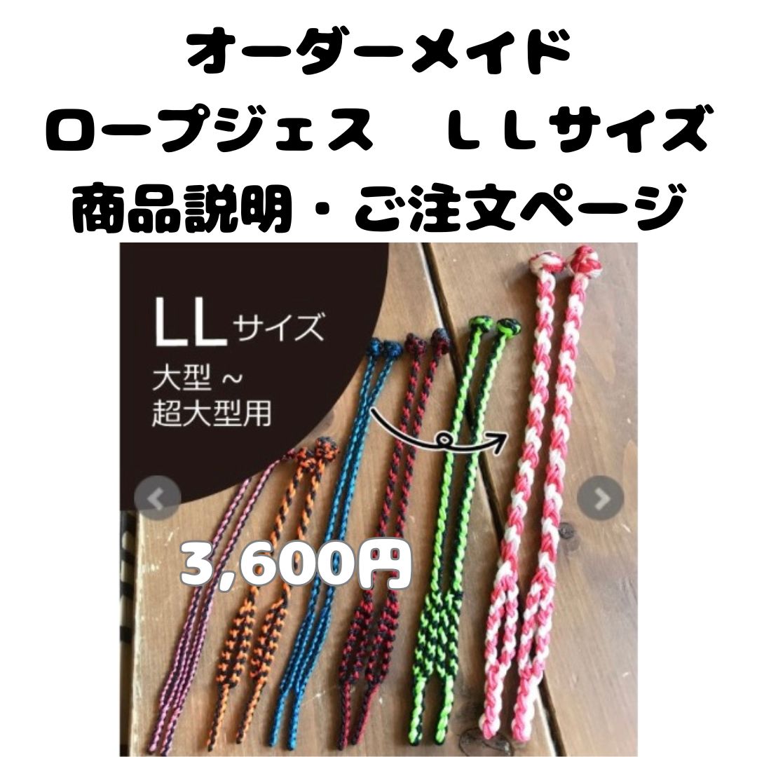居合本2冊セット】居合の基本＋居合道 川村典幸写真集 剣道日本