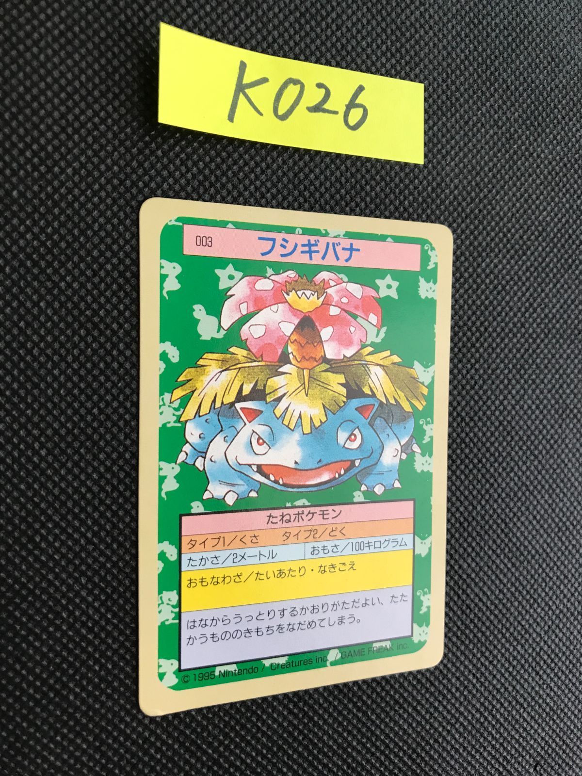 フシギバナ トップサン 裏緑 K-026