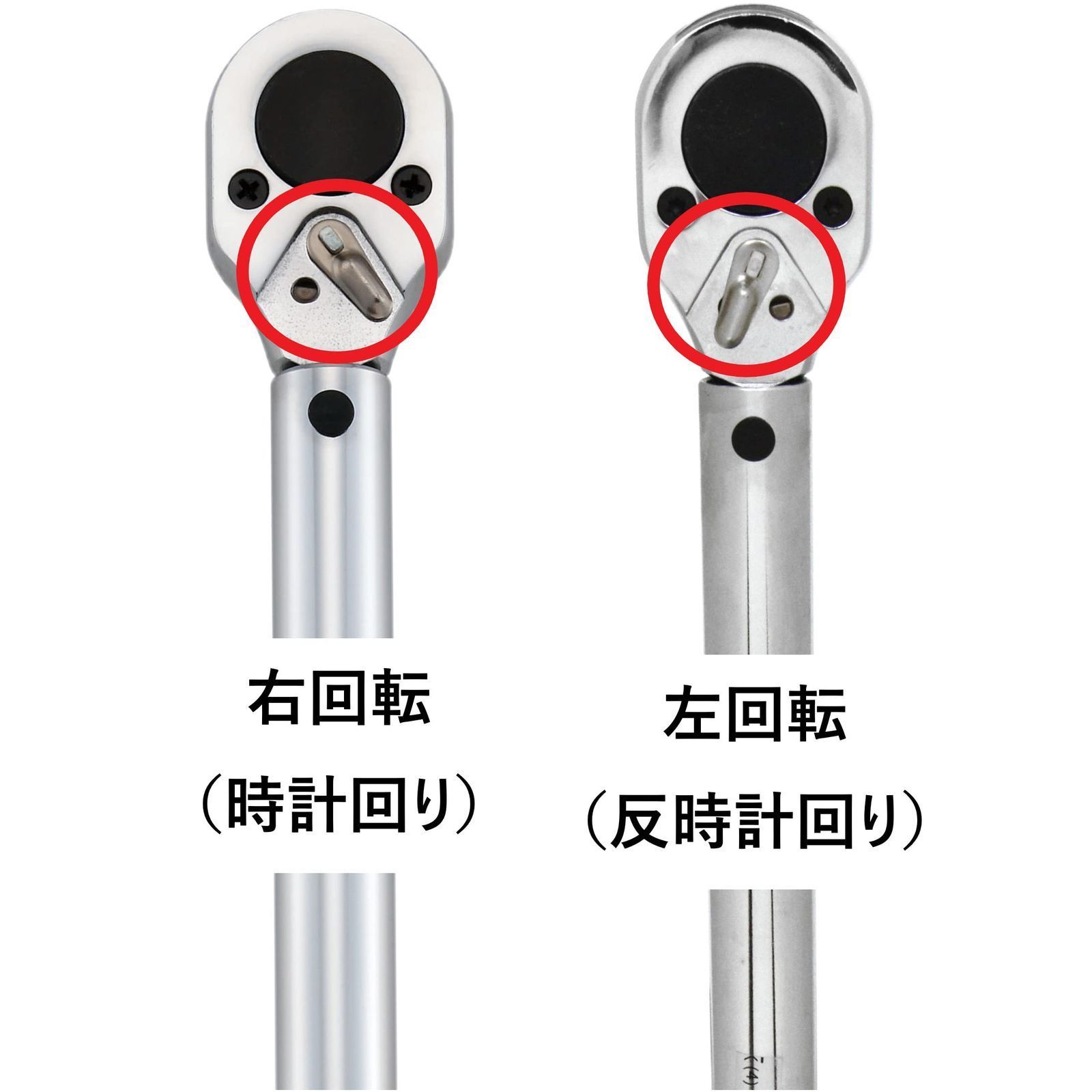 イーバリュー E-Value