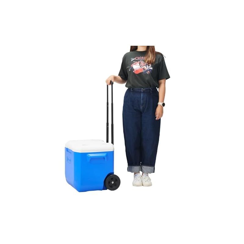 ブルー ホワイト