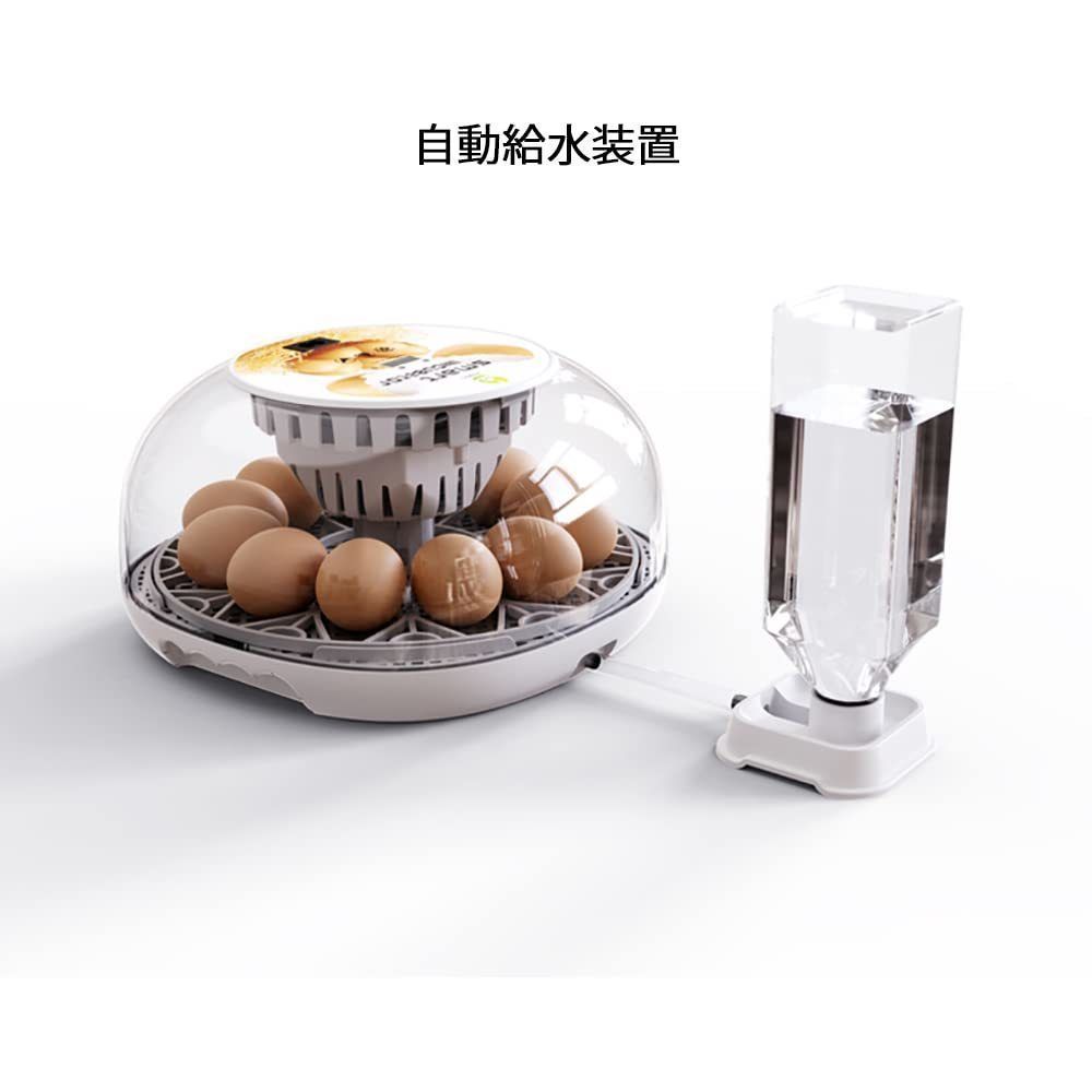 ☆㉗自動孵卵器 ふ卵器 温度表示 自動転卵/加湿 鶏卵16個入卵可能 自動孵卵器 ふ卵器 温度表示 自動転卵/加湿 鶏卵12個入卵
