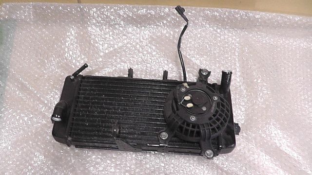 GSR250F LC6GJ55D001108xxx の ラジエター 1758264484