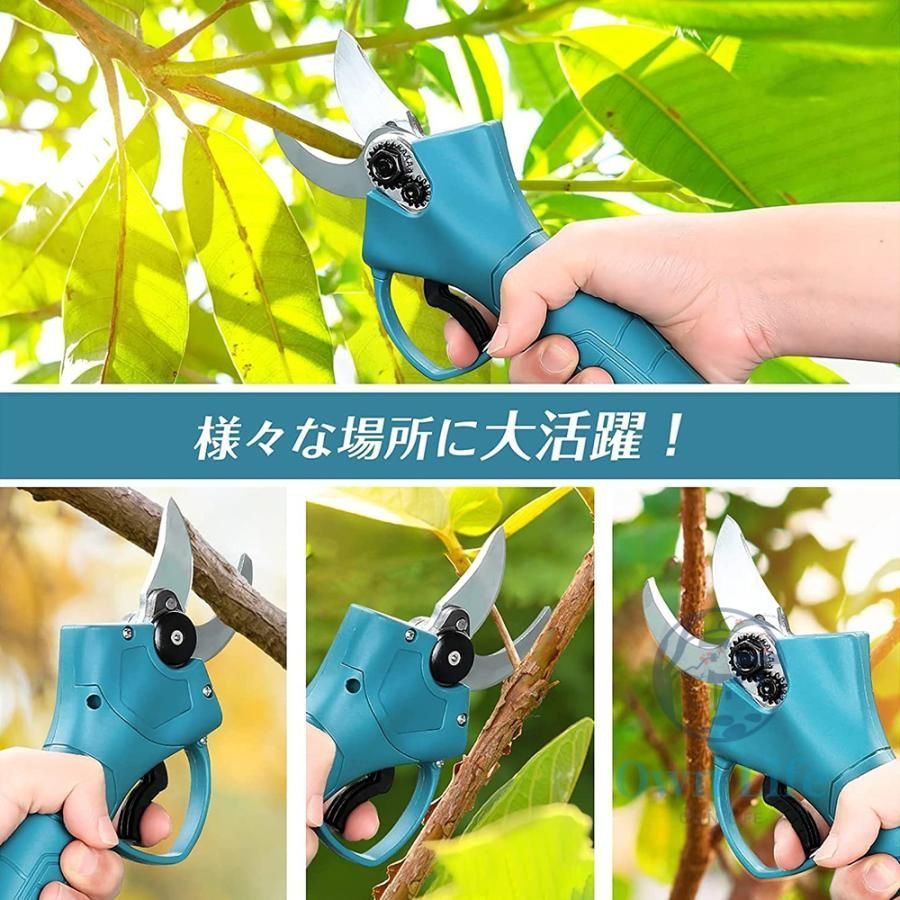 女性 剪定用具