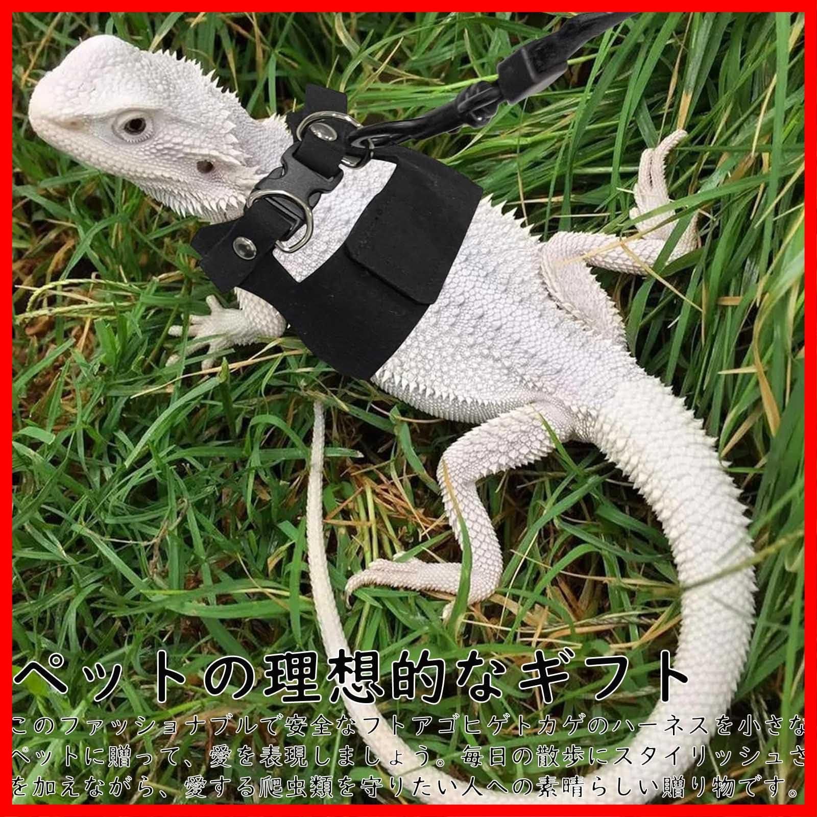 小動物、爬虫類 楽天市場】【翌日配達！在庫処分】爬虫類シートヒーター 20W