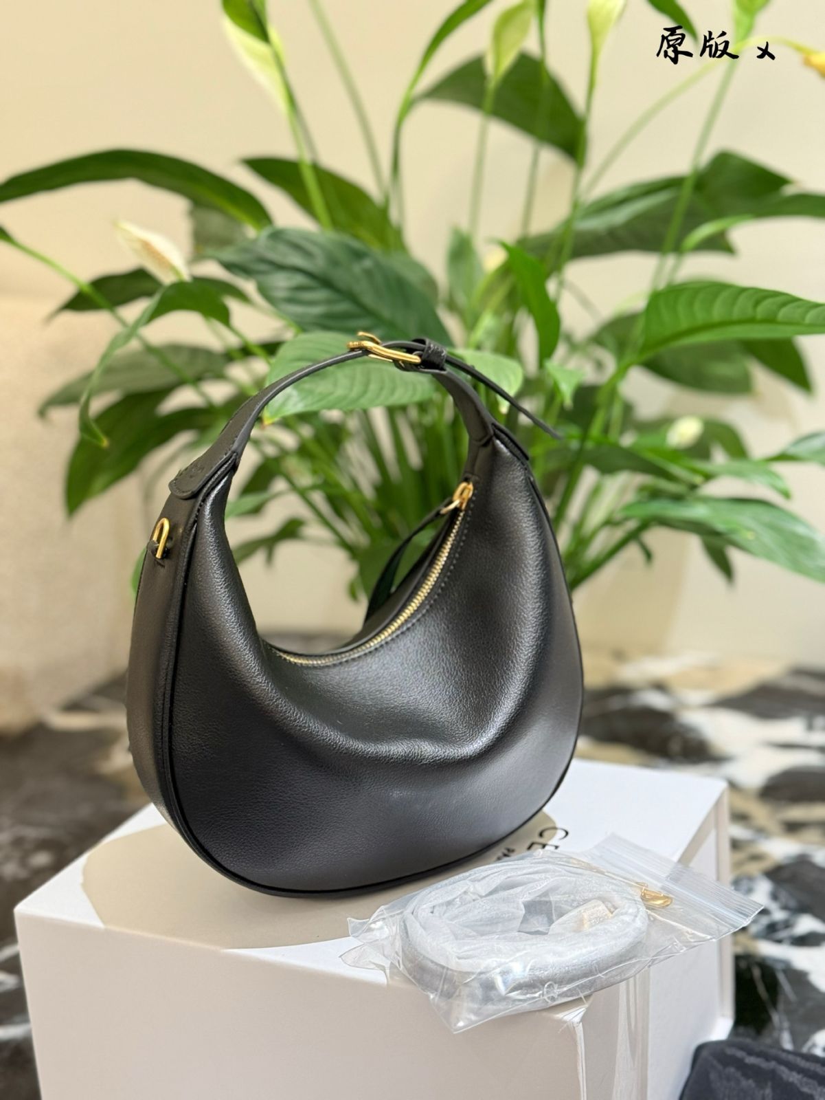 今日 Celine