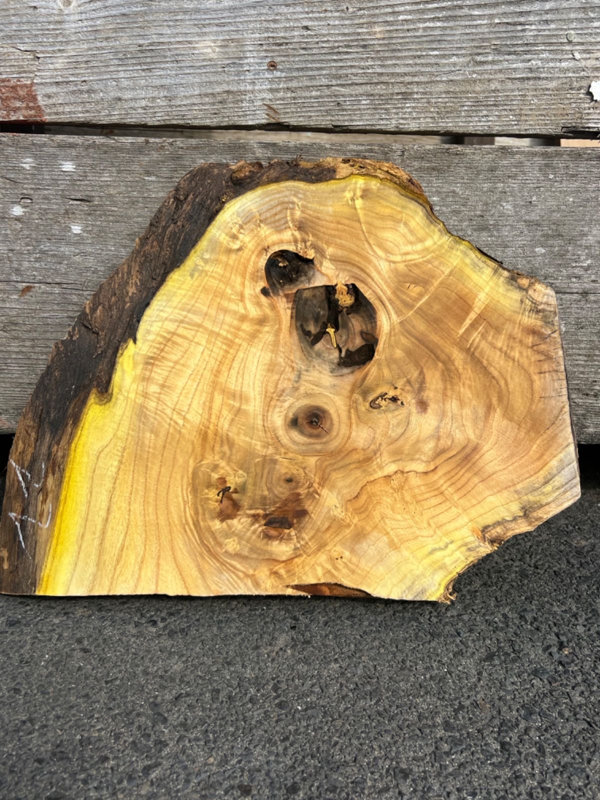 活性光触媒 除菌ウイルス 除菌剤 PAV-07 9箱