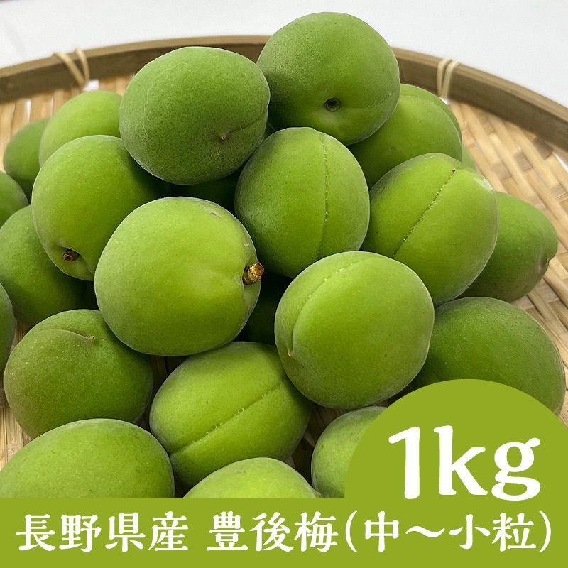 豊後梅（ぶんご梅）約1kg - 通販 - guianegro.com.br