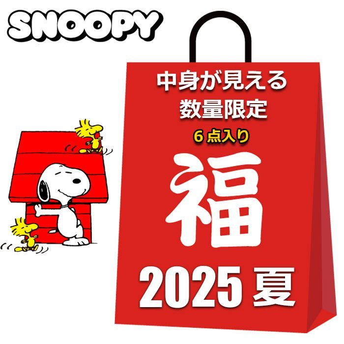 新品未使用スヌーピーまとめ売り自作福袋22点セット 新品 スヌーピー 数量限定 福袋 2025 夏 中身が見える 6点入り