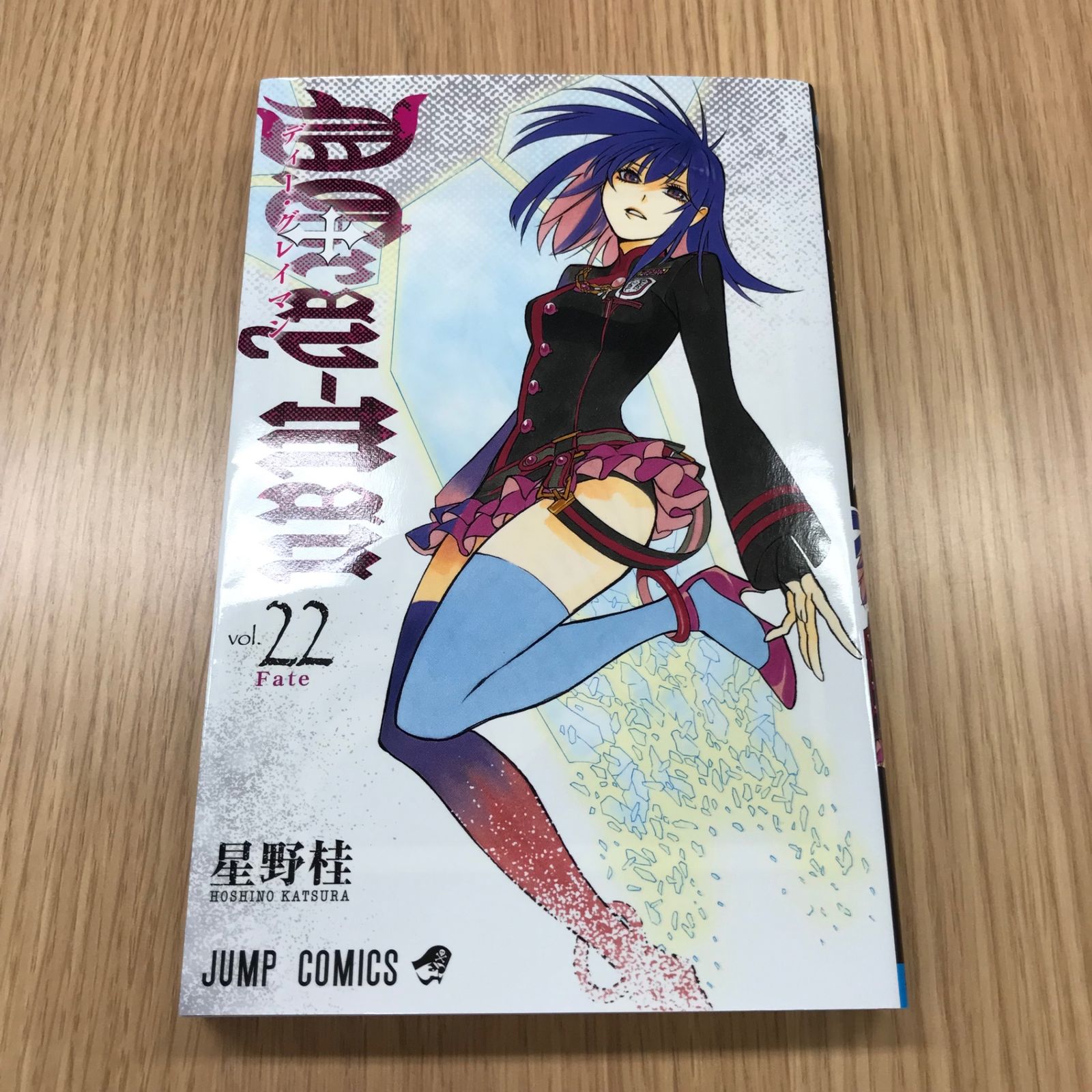 D.Gray-manディー・グレイマン 22巻【初版】/【作者】星野桂/GF