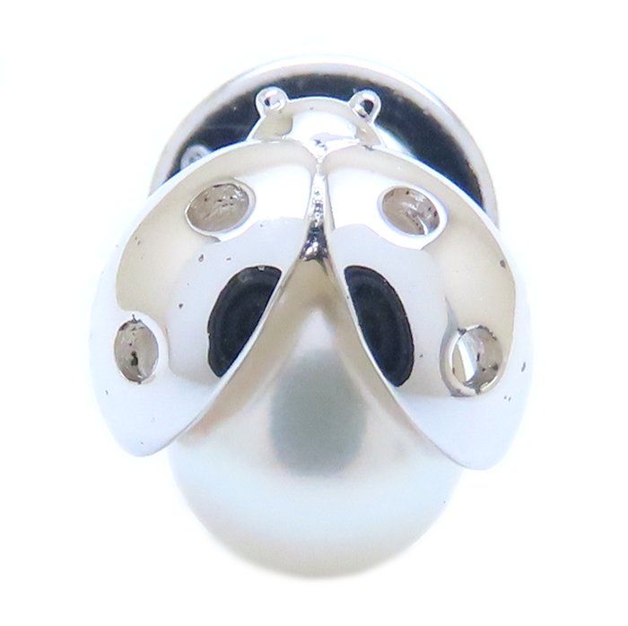 てんとう虫モチーフ