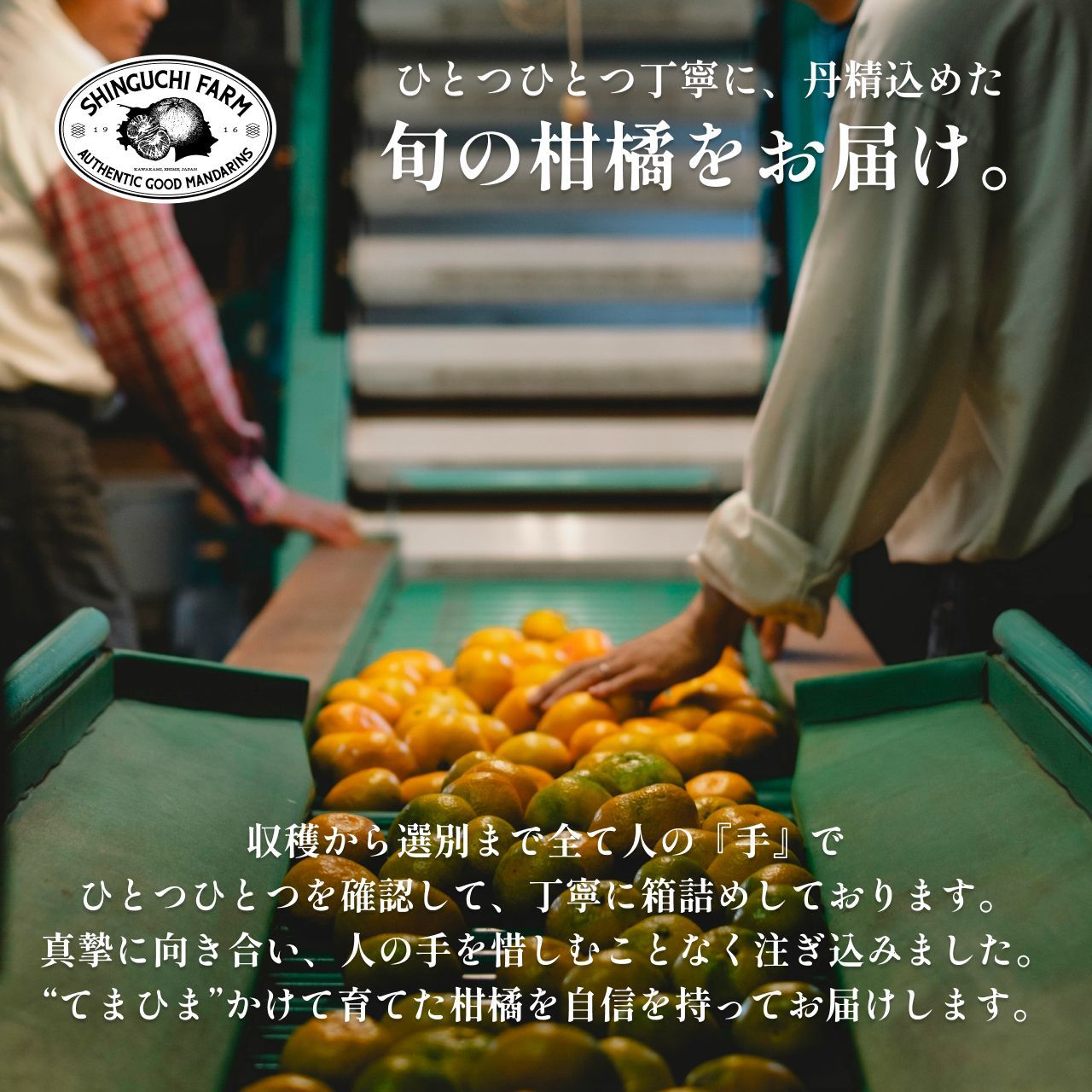 愛媛県産