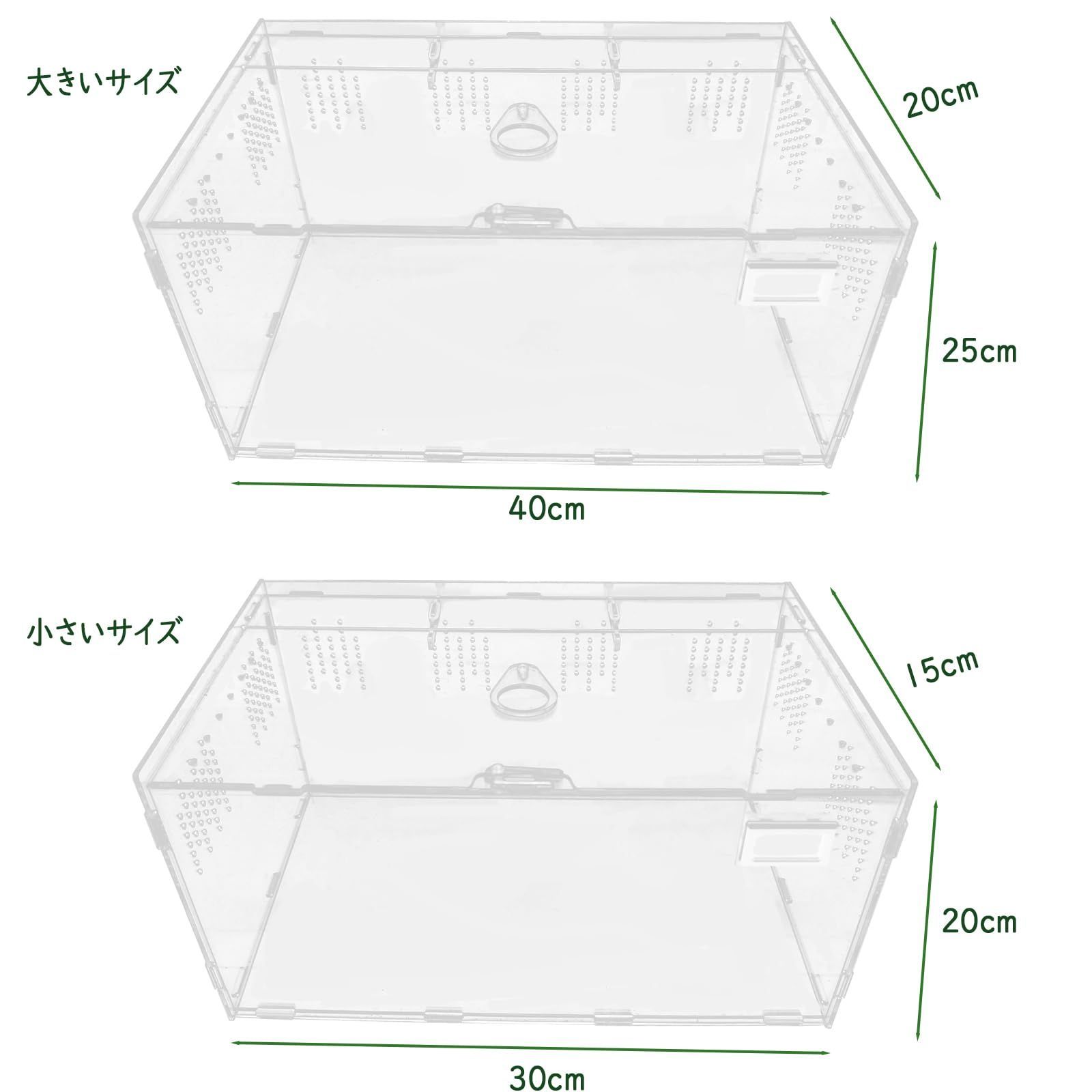 新着商品】サソリハリネズミ 蜘蛛 ヤモリ カエル 亀 爬虫類
