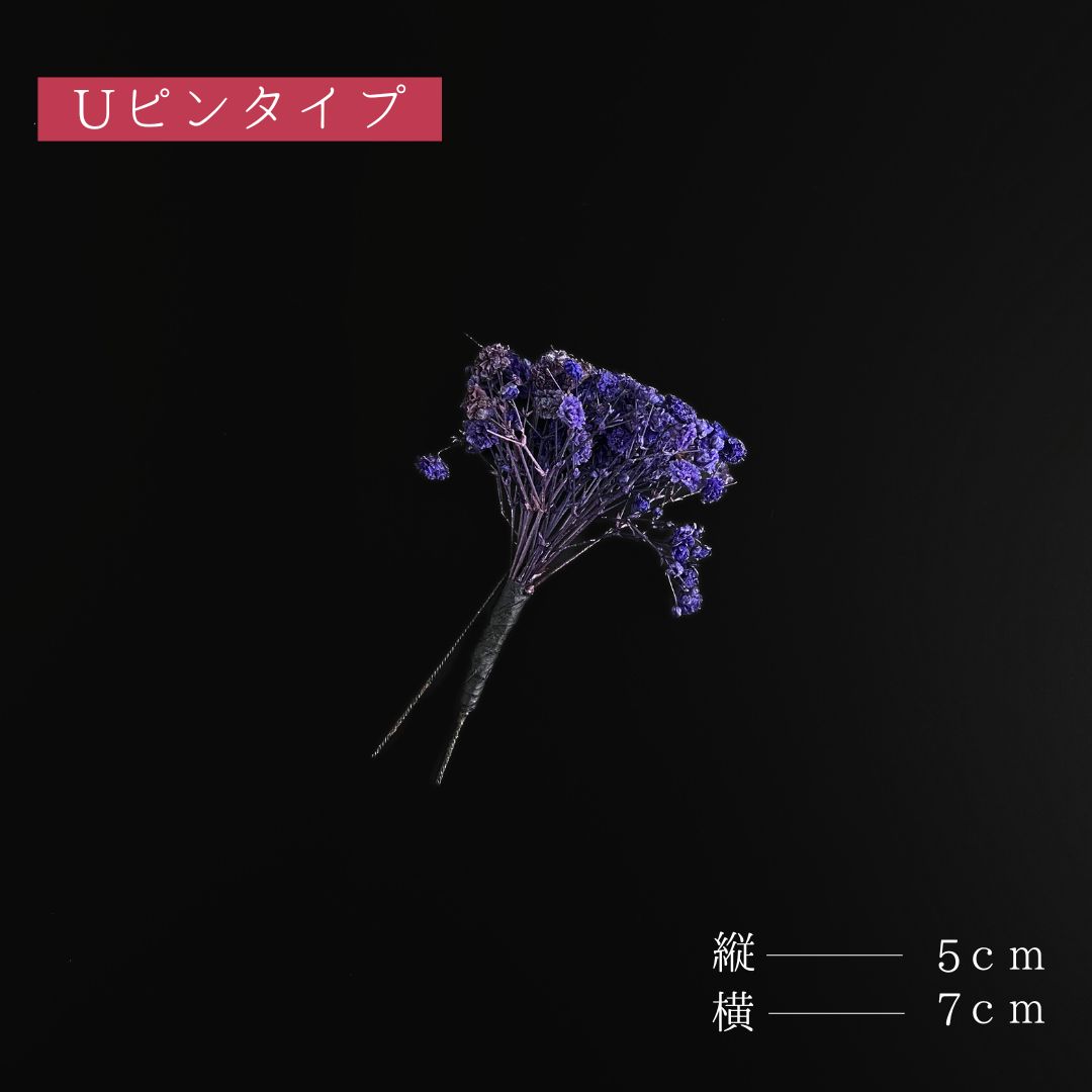 カスミソウ