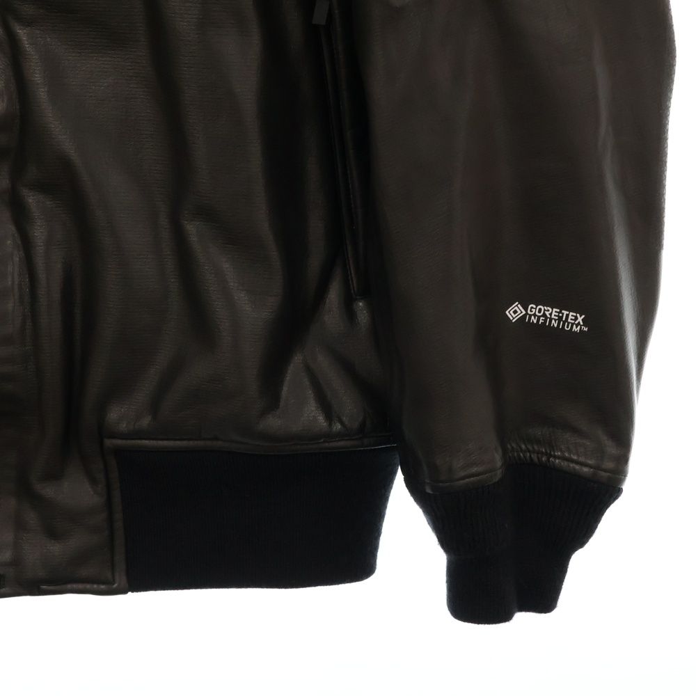 THE NORTH FACE (ザノースフェイス) GTX Q3 Jacket ゴアテックス