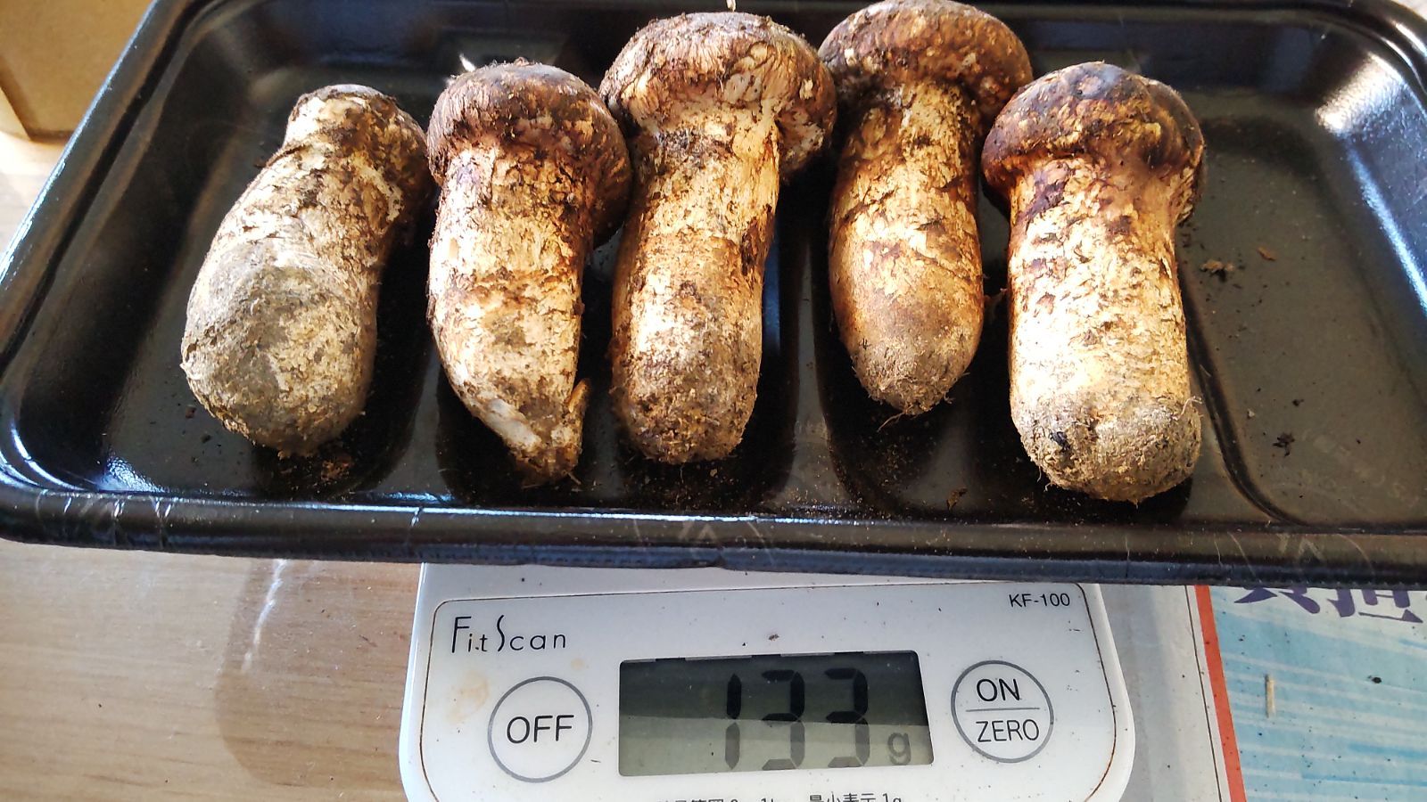 岩手県産 松茸 24日収穫④クール便込み