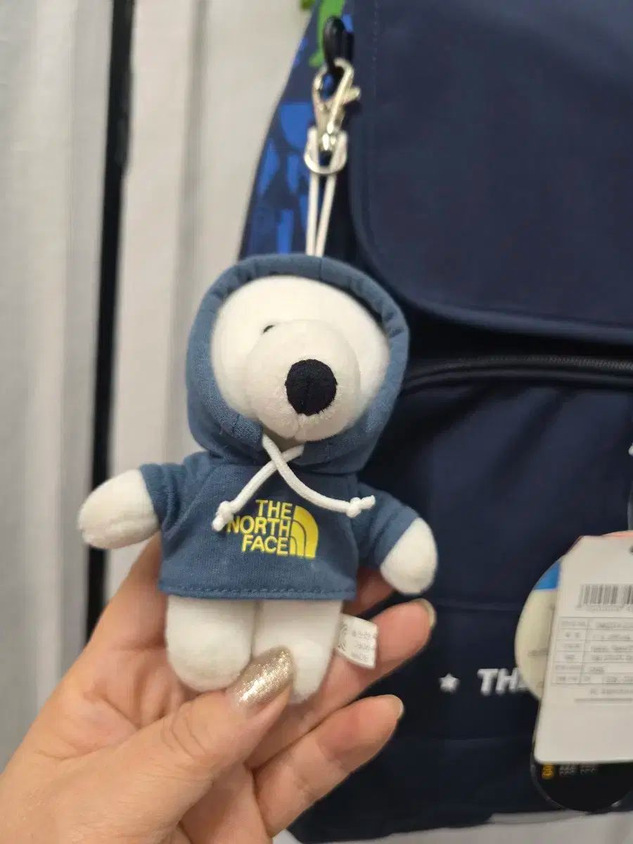  THE NORTH FACE ザノースフェイス 本 その他 バッグ