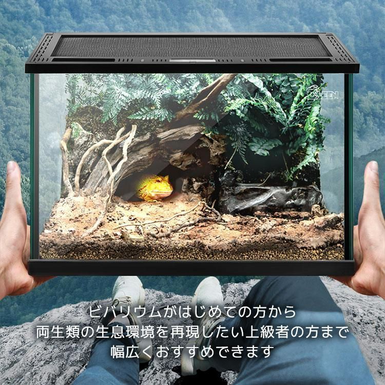 Amazon | 爬虫類 ケージ グラステラリウム 飼育ケース 大 昆虫