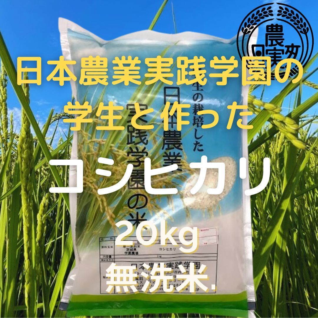 農業学校の【コシヒカリ】20kg  無洗米【令和5年産新米】新米お米20キロ販売再開9月下旬予定