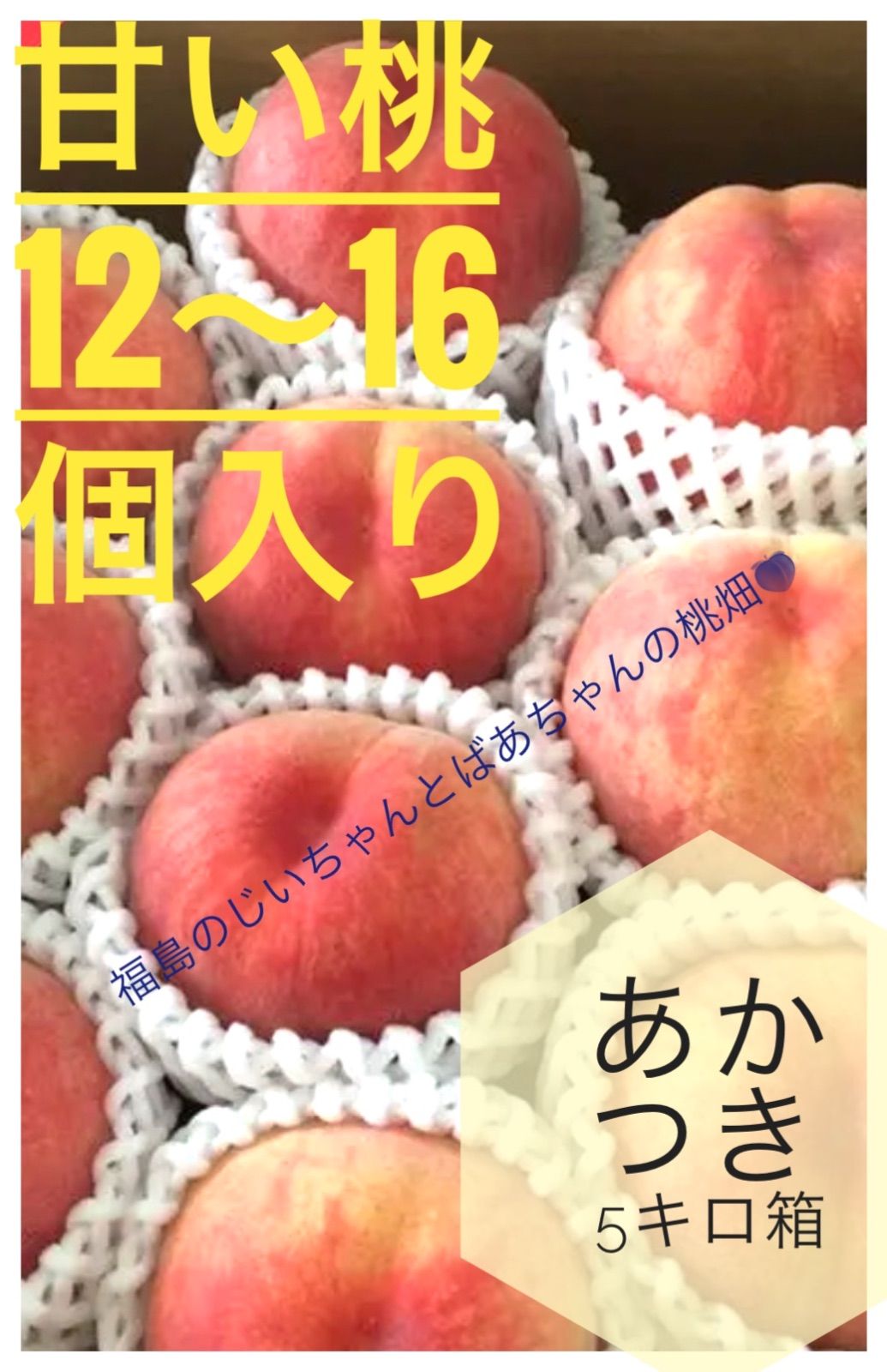 採れたて桃　本日収穫　最後のあかつき　オマケのまどか　福島県産　家庭用　B級品