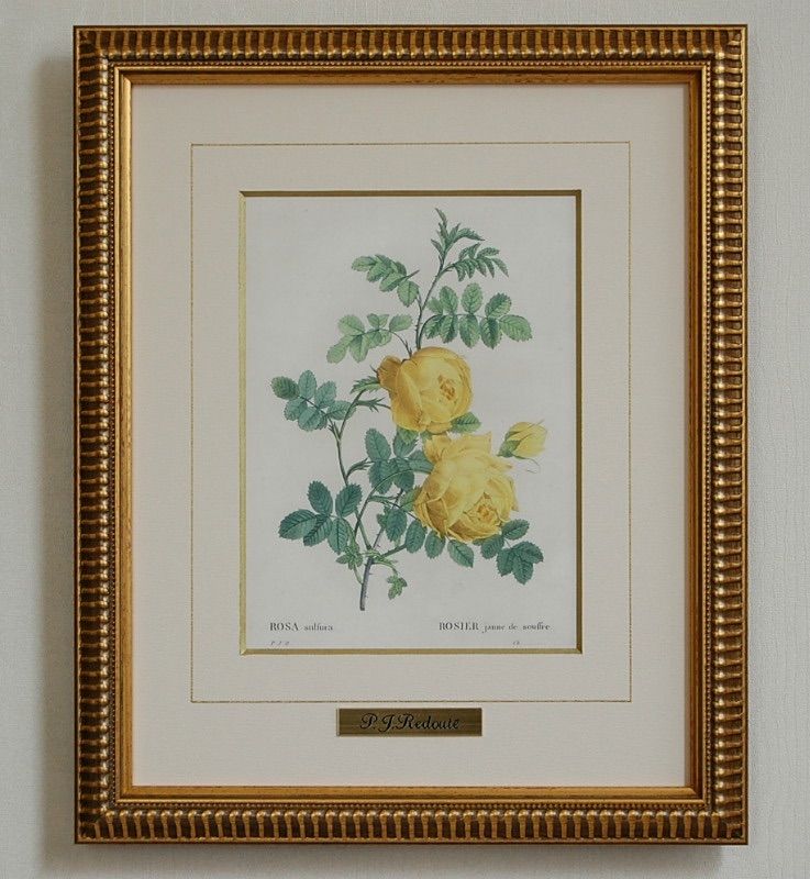 ルドゥーテ 絵画 ルドゥーテ 大型アートパネル ルドゥーテ 絵画の通販