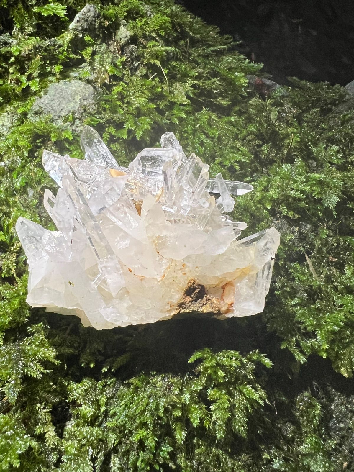 龍脈の精髄 ―宮崎産 水晶クラスター 「聖域を生む調和の結晶」【保護猫活動支援】 龍脈の精髄 ― 水晶クラスター 「光を宿す透明なる守護」 宮崎県