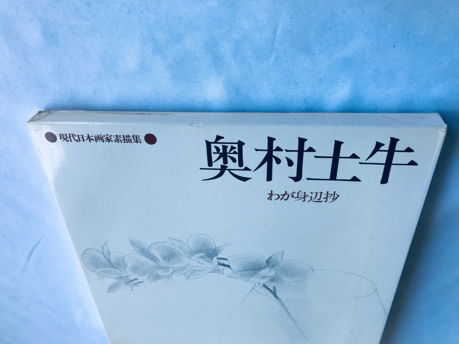 奥村土牛 奥村土牛 わが身辺抄 現代日本画家素描集 初版 スリップ カード