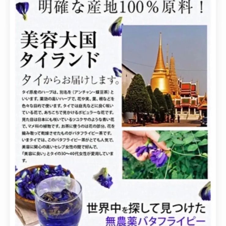 青いお茶 個包装 バタフライピーティー 10個セット 色が変わる アントシアニン 1包でたっぷり1L～2L分❣️  バタフライピー タイ産 眼精疲労を軽減 飲む日焼け止め  毎日あきない無味  無糖 無添加  ノンカフェイン プチギフト