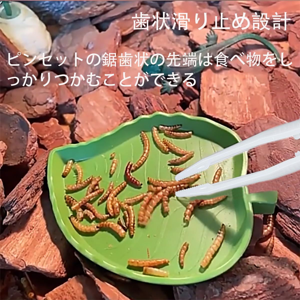 爬虫類・両生類のエサ SS10 S15 新品 蜥蜴 昆虫 両生類安全給餌クリップ カエル セーフティ
