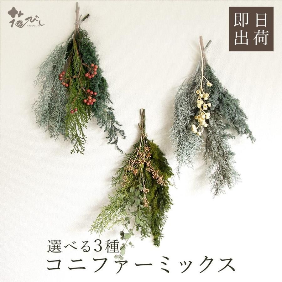 プリザーブドフラワー 花材 即日出荷 コニファーミックス 花材 素材 材料 パーツ ドライフラワー クリスマス 大地農園