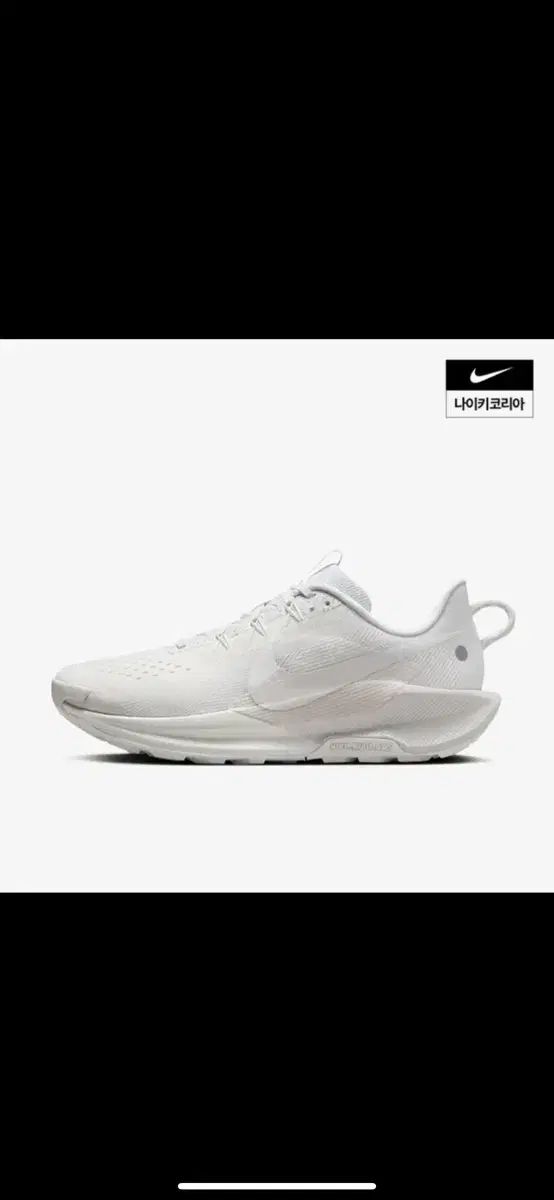NIKE ナイキ ペガサス トレイル 5 DV3864 ー 101