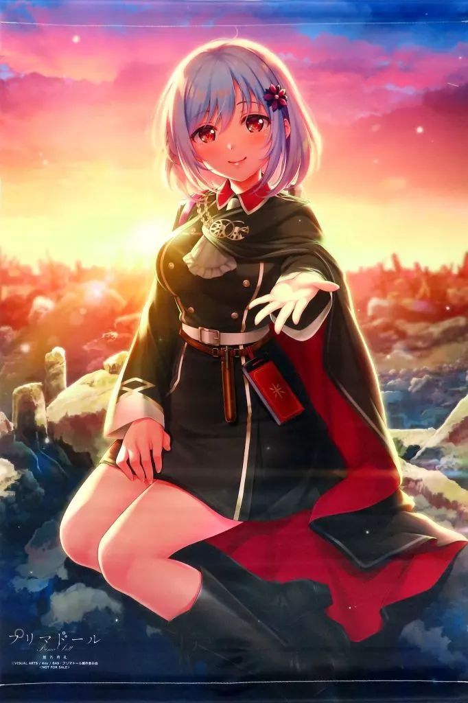 NEWモデル 中古】タペストリー 箒星 オリジナルB2タペストリー 「PCソフト 絵画
