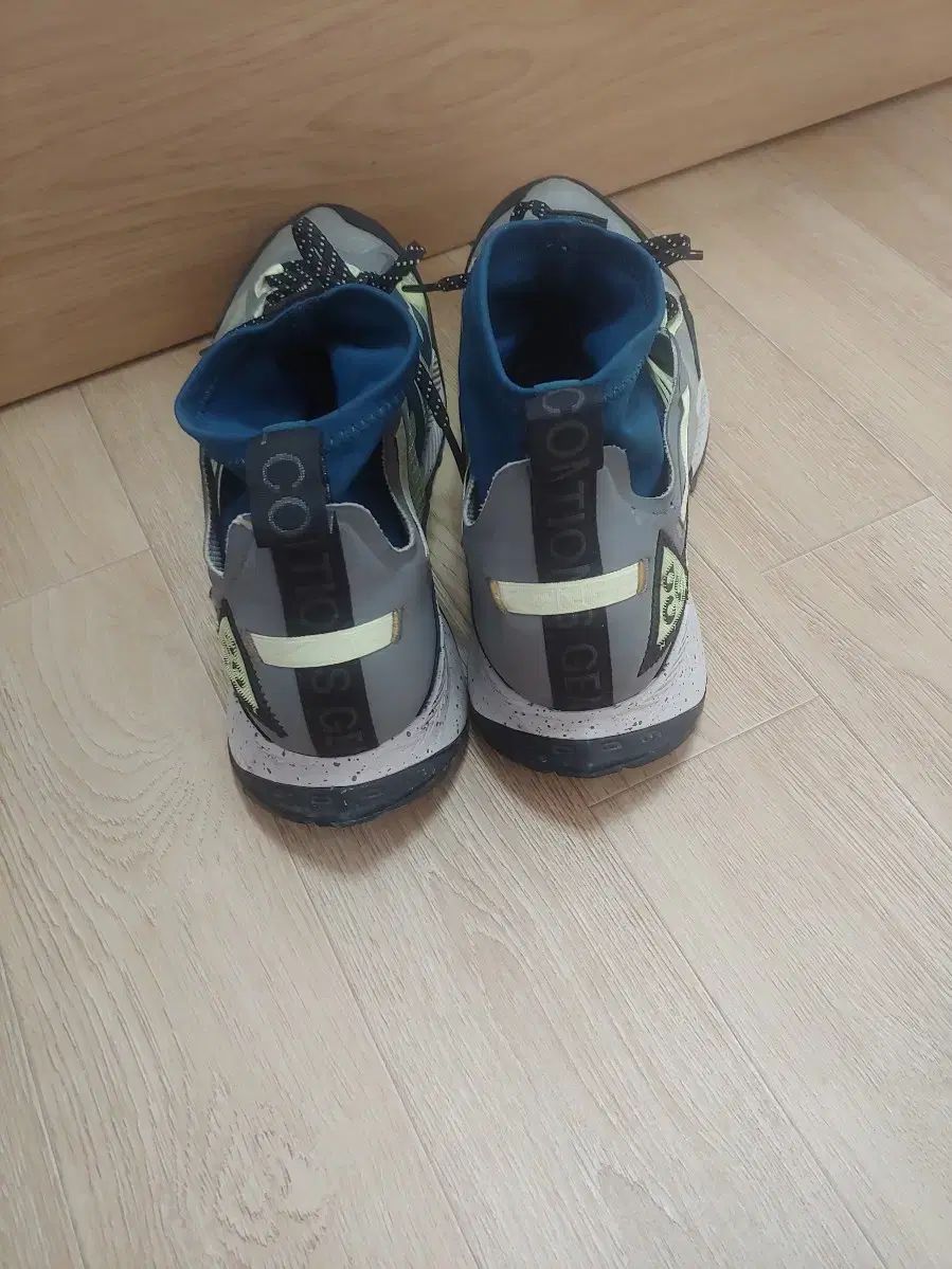 acg