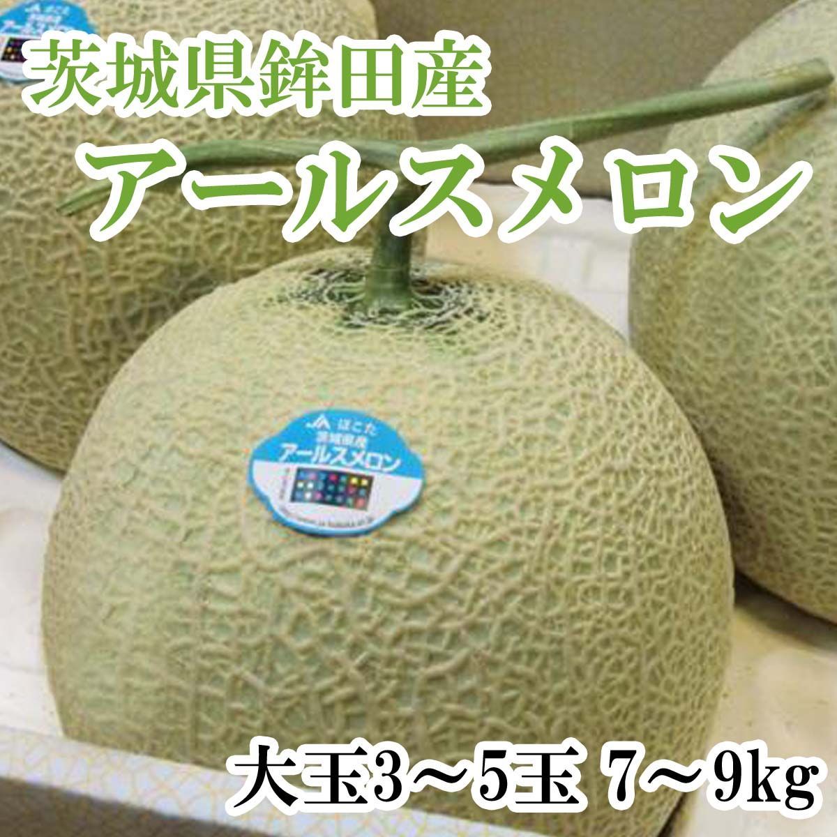 メロン 楽天市場】【送料無料】 茨城県産 タカミメロン （貴美メロン