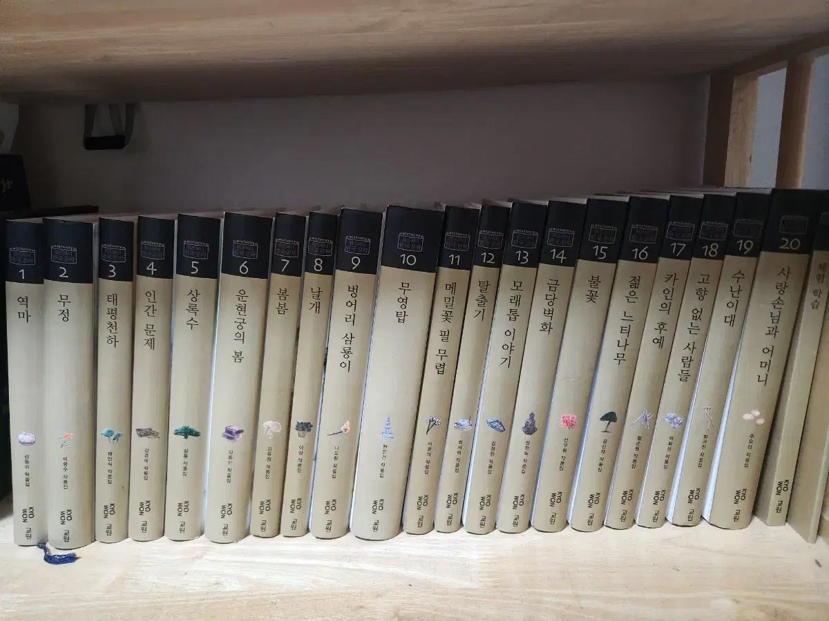 教員 賢明で面白い 韓国文学