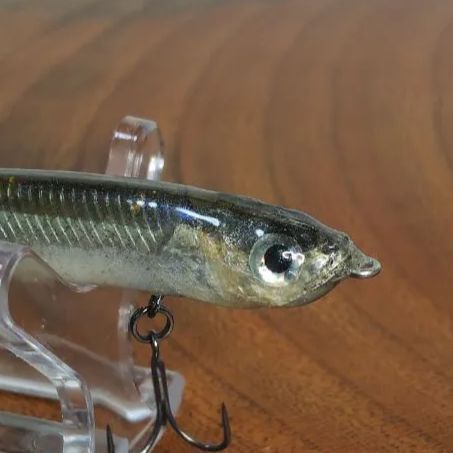 剥製魚皮ルアーカスタム スーパージョーダン53