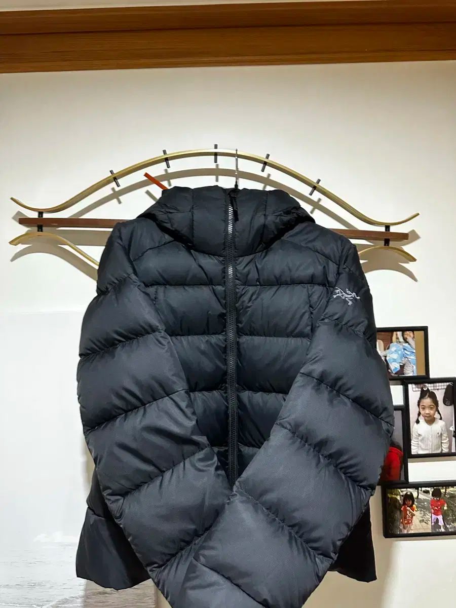 アークテリクス トーリゥム WHOODY M