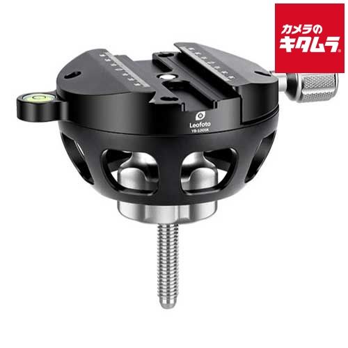 レオフォト YB-100SK アルカスイス互換 100mmハーフボール 納期約１－２週間