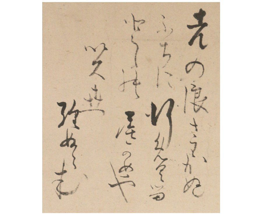 掛け軸／亀寿図／銘刻あり 掛け軸／亀寿図／銘刻あり - メルカリ