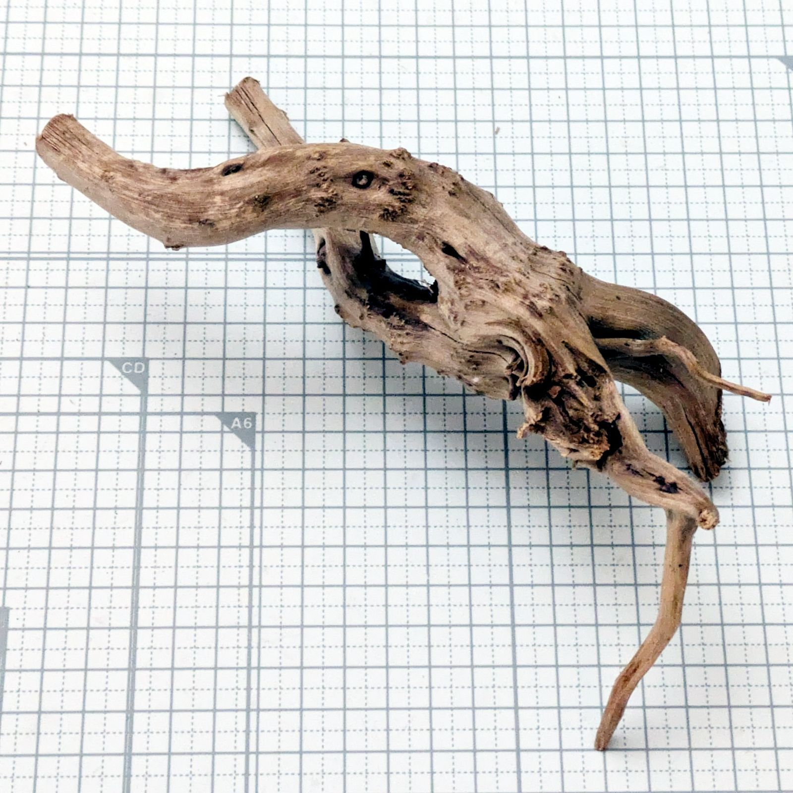 約19x10x8cm ナチュラルブランチウッドS 複数同時購入で2品目以降