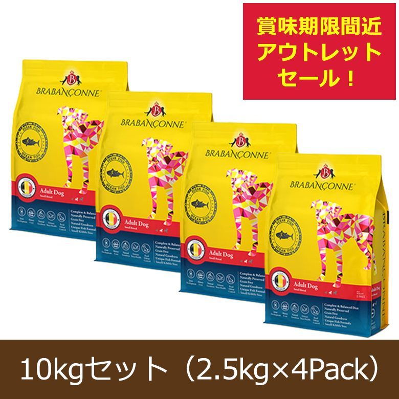 公式アウトレット ブラバンソンヌ 成猫用 キャットフード オーシャンフィッシュ 10kg 2.5kg×4袋 訳アリ アウトレット品 賞味期限間近 2025|12|19